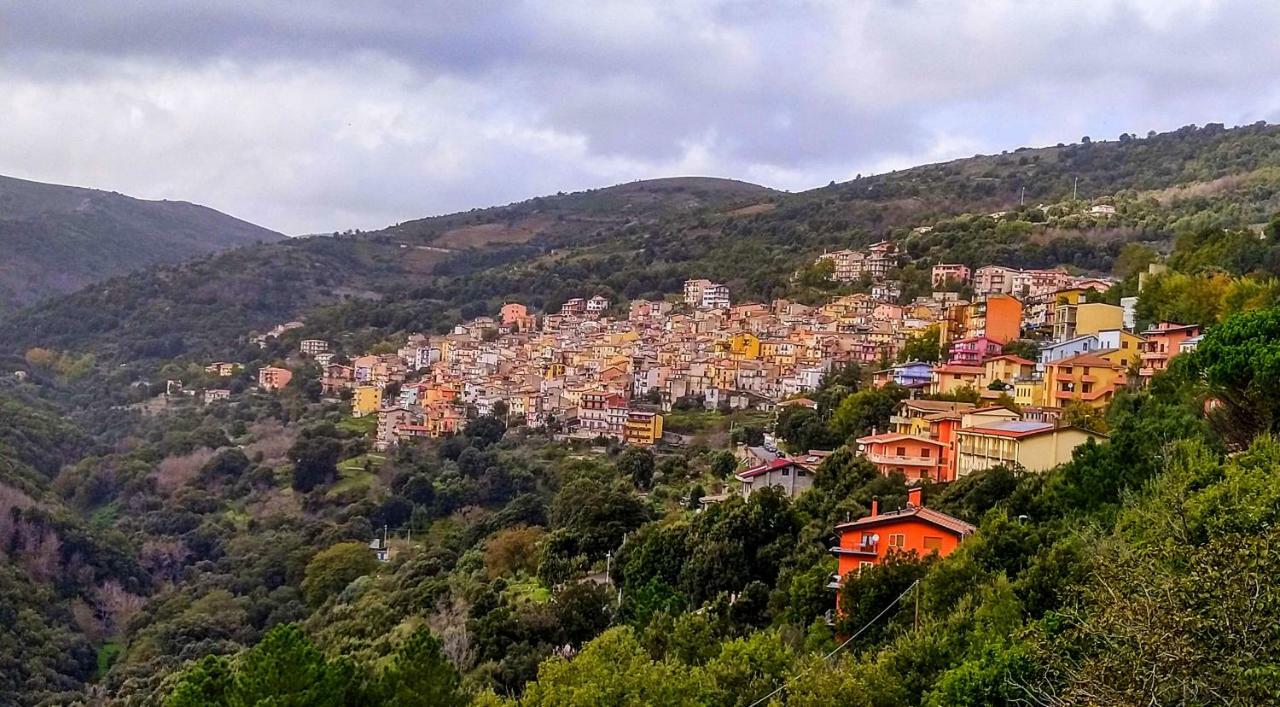 Stellaria Casa Vacanze In Montagna Panorama Stupendo Sardegna Seulo Exterior photo